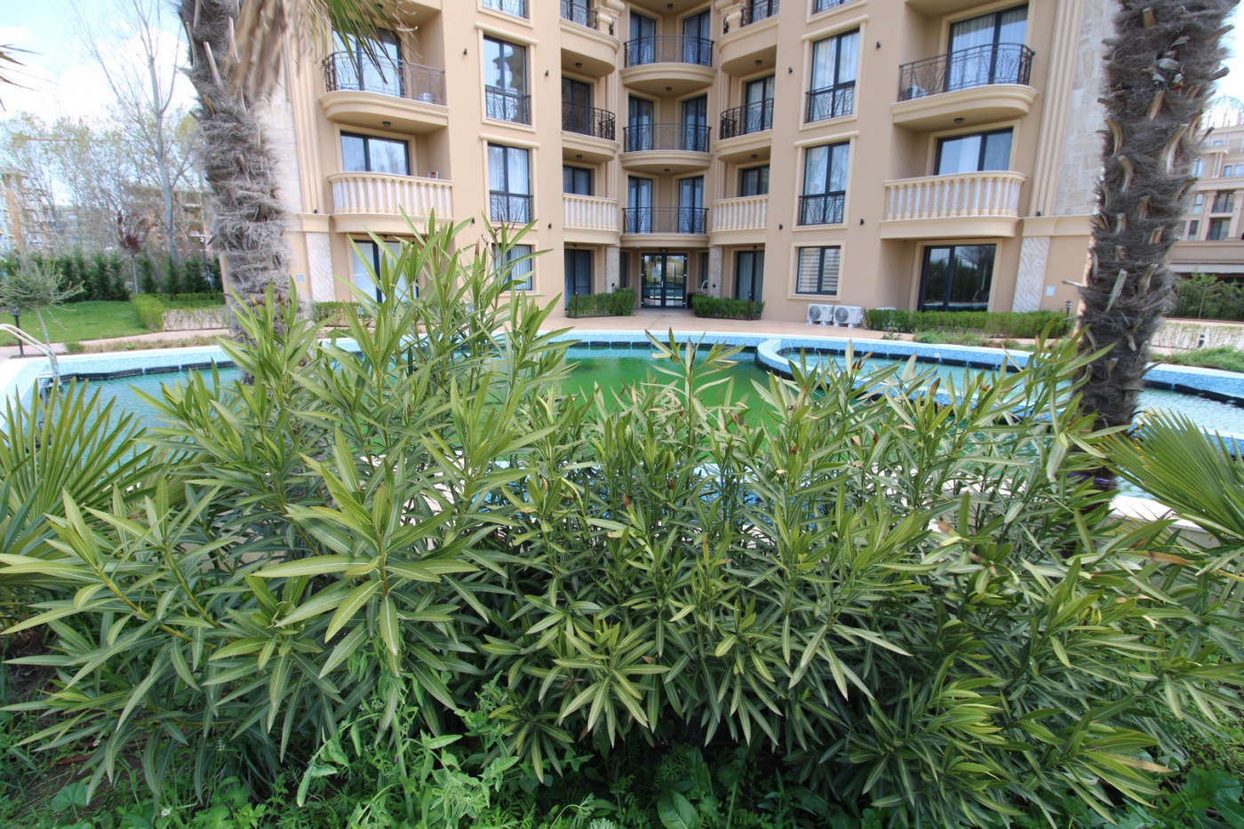 Aphrodite Green Aparthotel