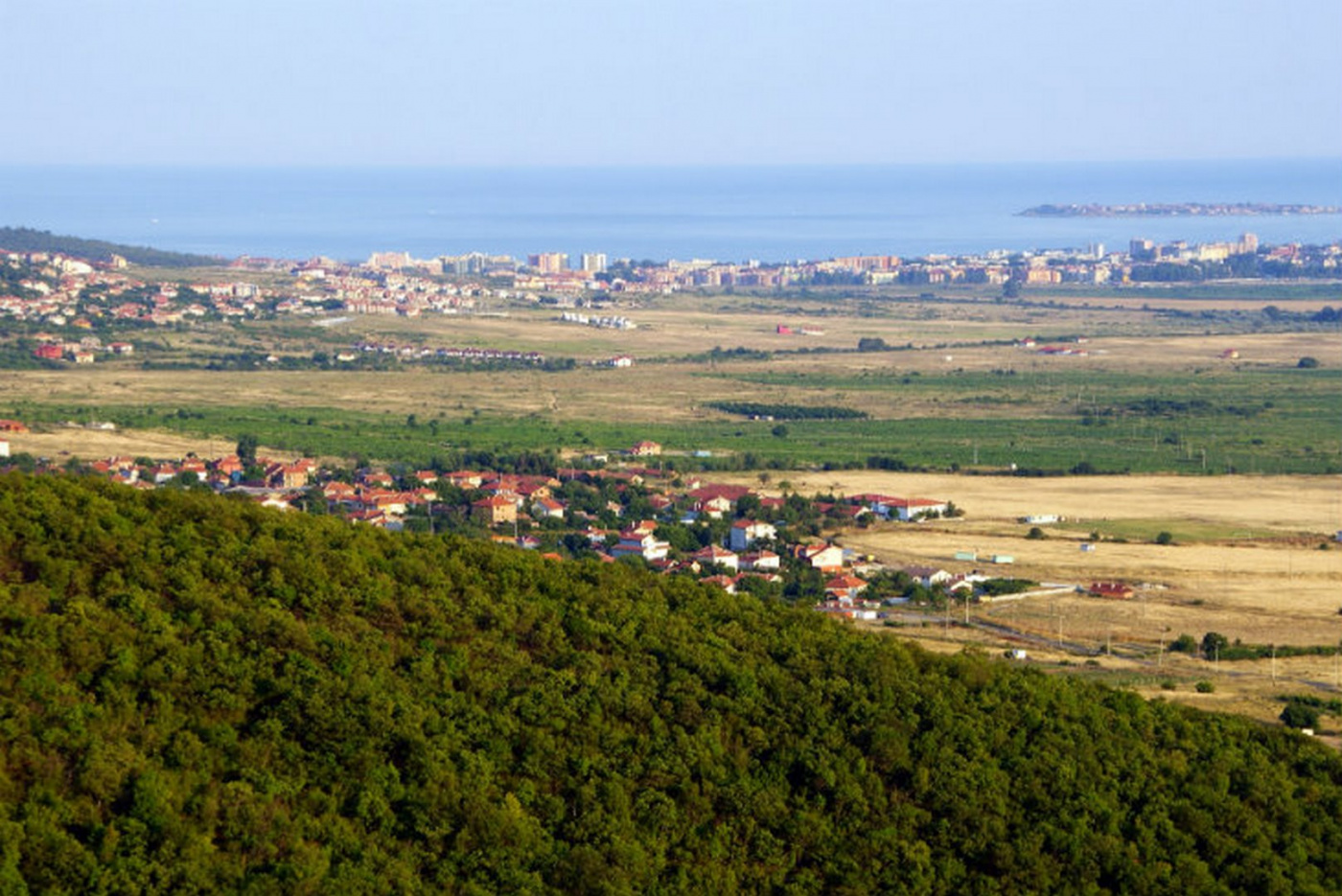 Kosharitsa