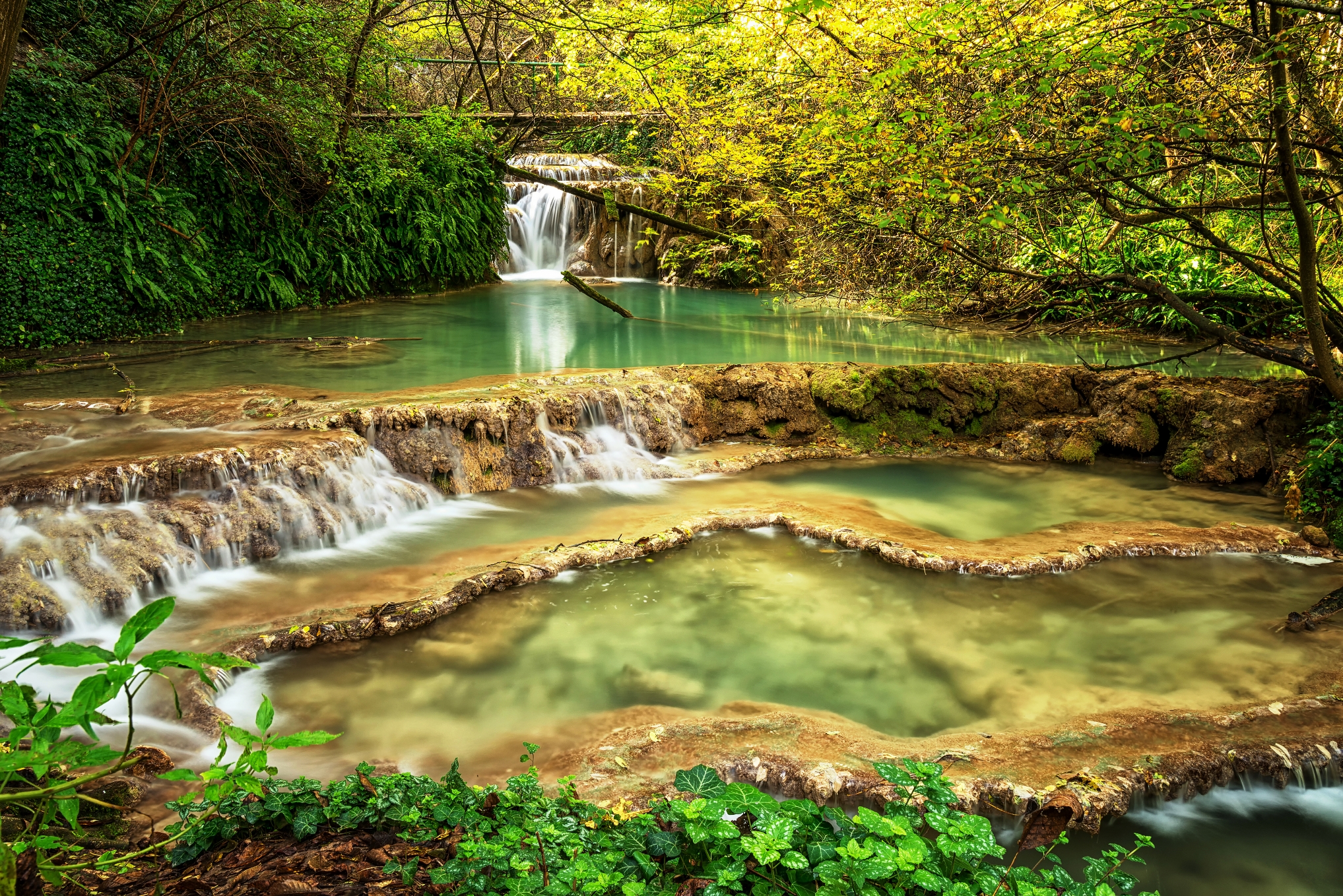 Nature and animals